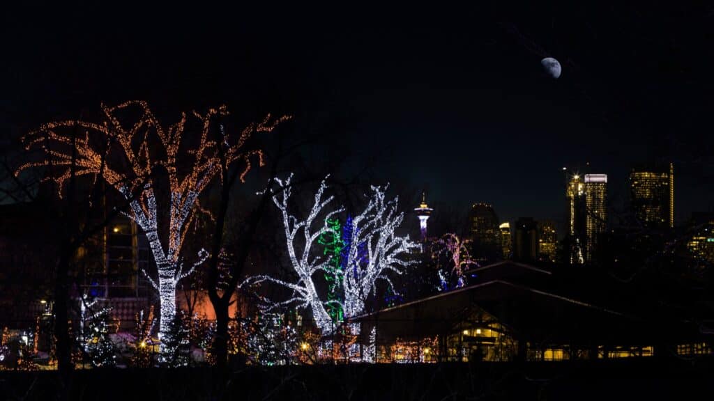calgary zoo lights